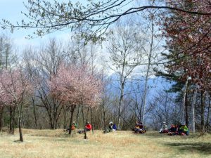 桜を眺める場所で昼食の班