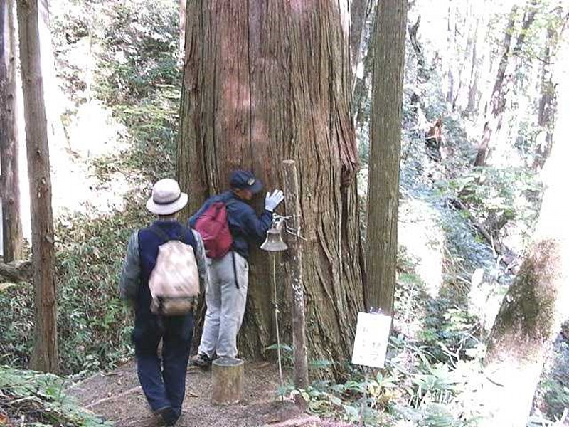 10月21日 森林文化見学会 参加者募集