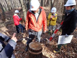 伐採木の樹齢測定