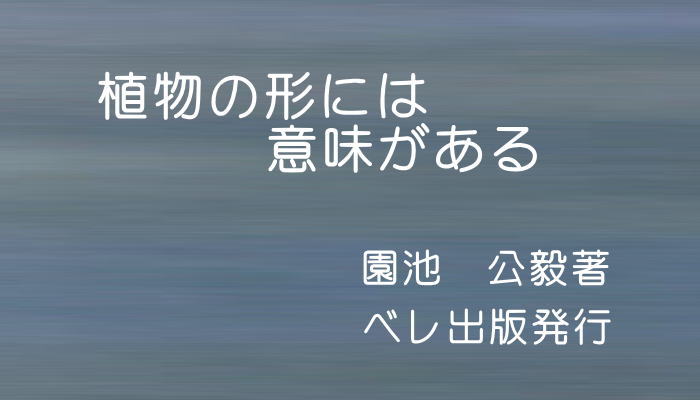 森林文化学習会 １０月