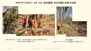 20250405安全祈願とナラ傾斜木伐採
