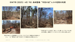 20250409_市民の池入口