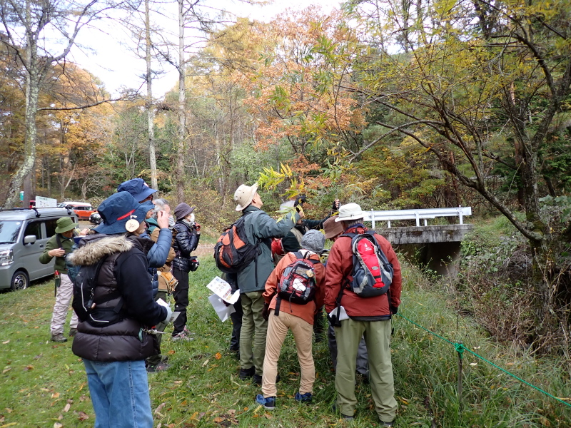 月例観察会 １１月